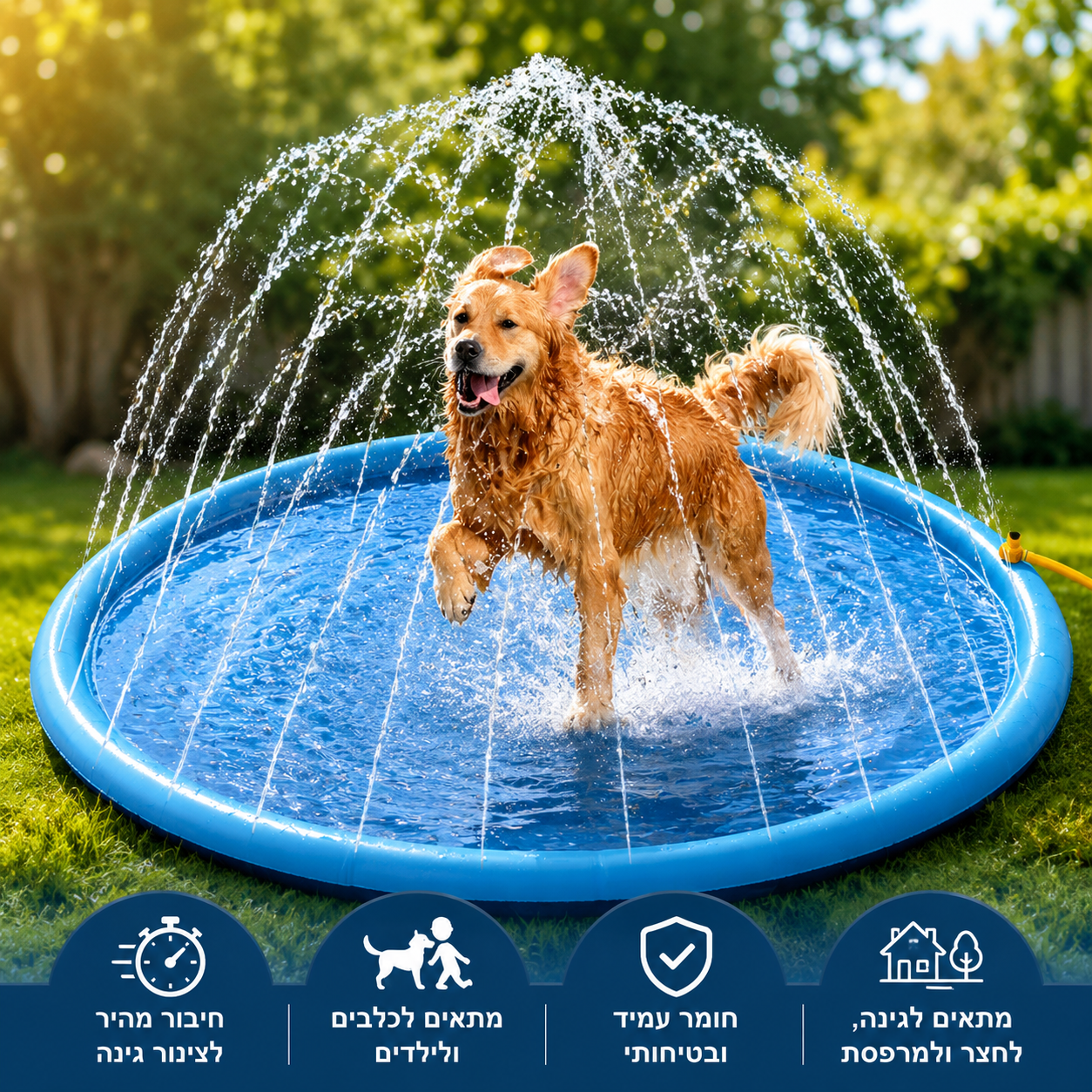 בריכת התזה לכלבים ולילדים | SplashPad™